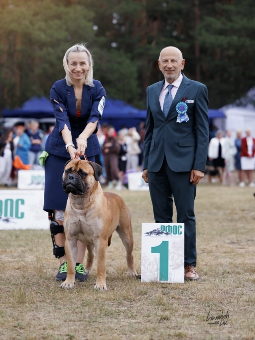 ���������� ���, �������� Lyudzhen Victory