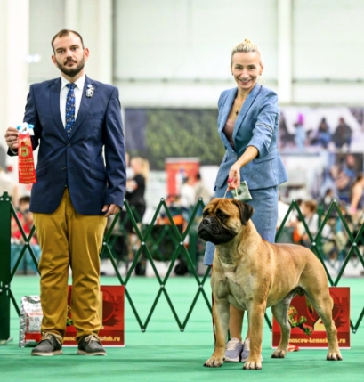 ���������� ���, �������� Lyudzhen Victory
